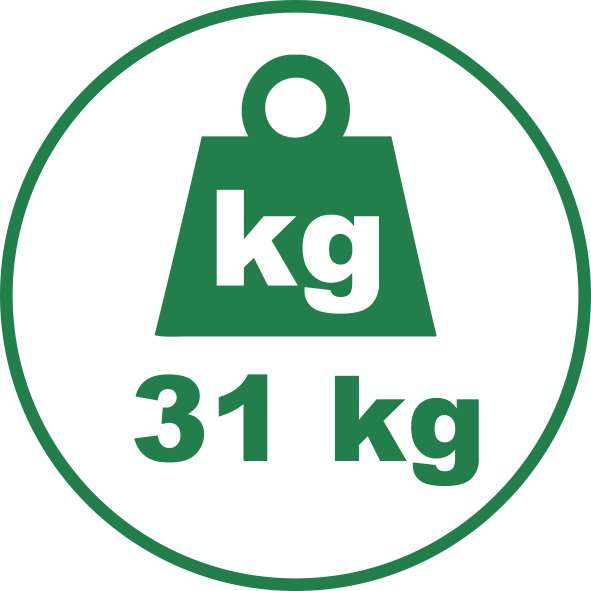 31kg